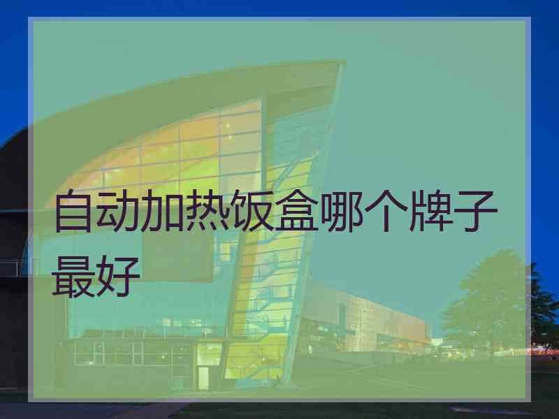 自动加热饭盒哪个牌子最好 自动加热饭盒哪个牌子最好