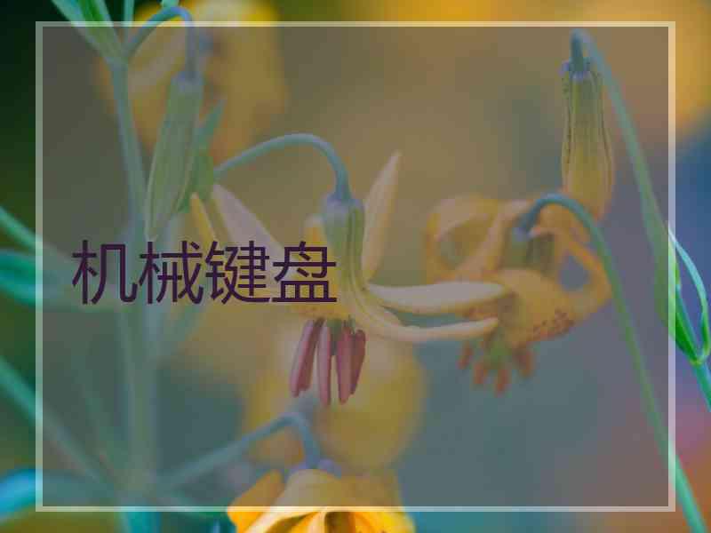 机械键盘 机械键盘