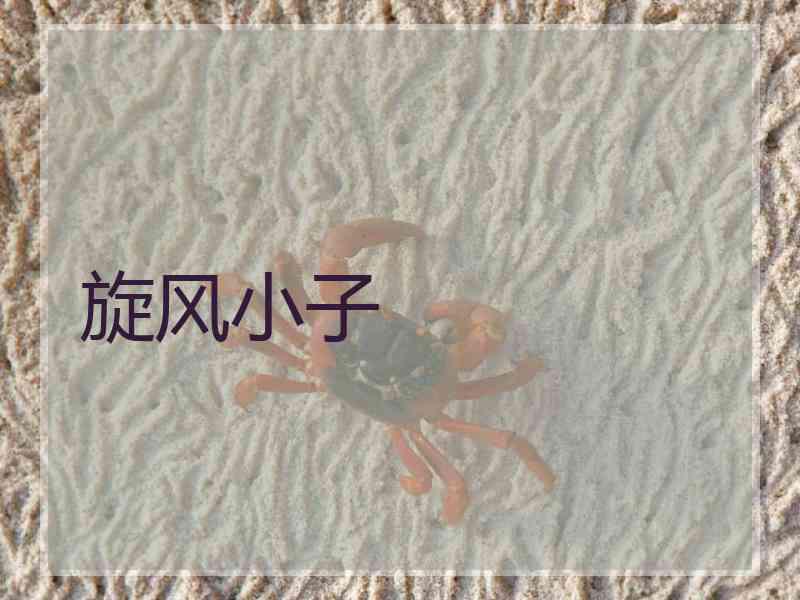 旋风小子 旋风小子