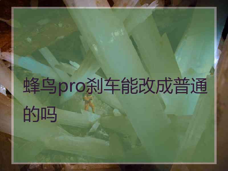 蜂鸟pro刹车能改成普通的吗 蜂鸟pro刹车能改成普通的吗