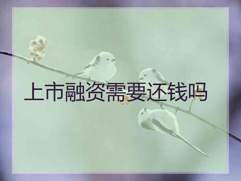 上市融资需要还钱吗 上市融资需要还钱吗