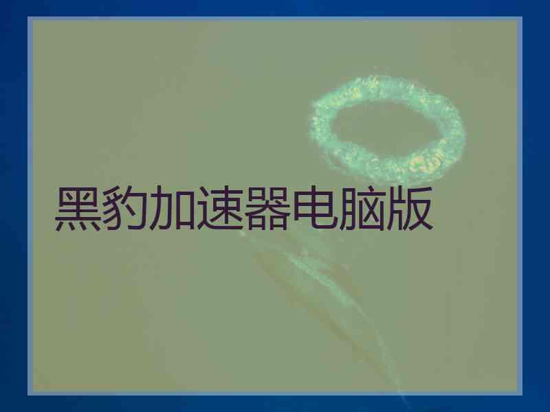 黑豹加速器电脑版 黑豹加速器电脑版