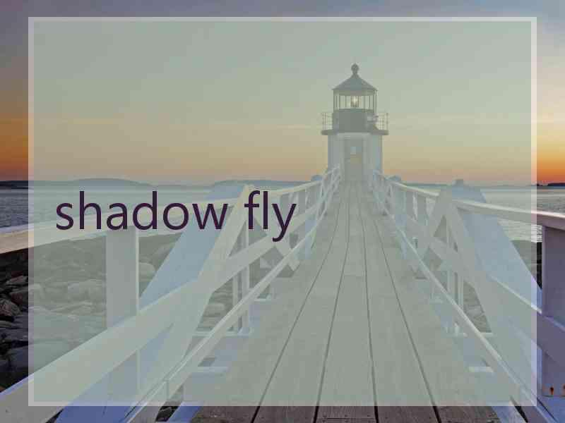 shadow fly