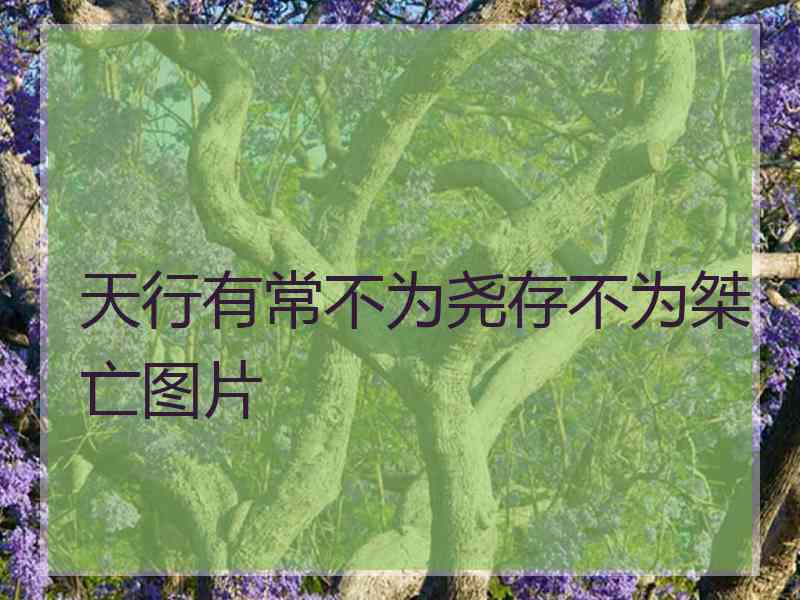 天行有常不为尧存不为桀亡图片 天行有常不为尧存不为桀亡图片