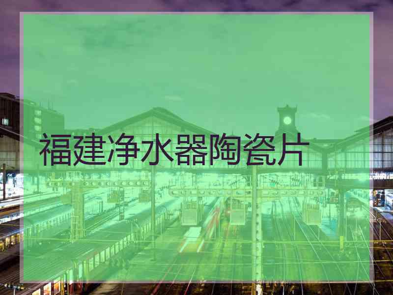 福建净水器陶瓷片 福建净水器陶瓷片