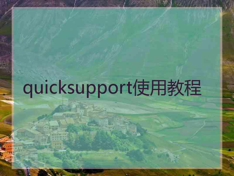 quicksupport使用教程