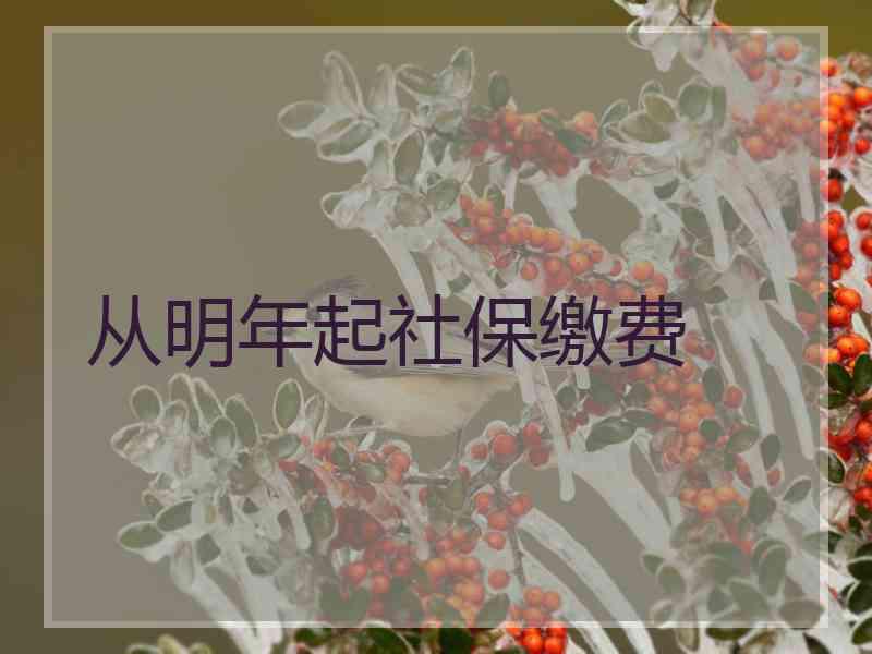 从明年起社保缴费 从明年起社保缴费