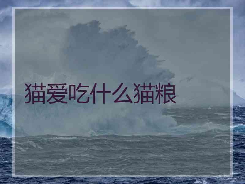 猫爱吃什么猫粮 猫爱吃什么猫粮