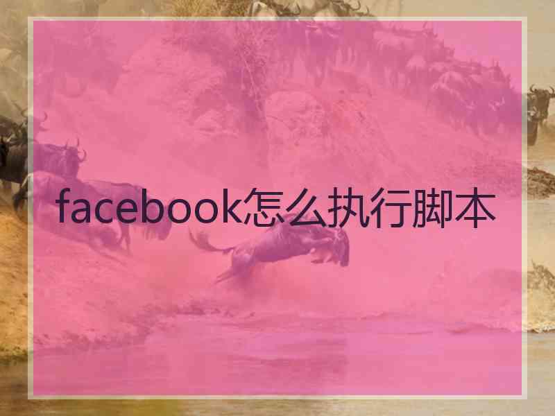 facebook怎么执行脚本 facebook怎么执行脚本