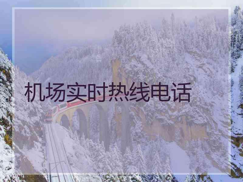 机场实时热线电话 机场实时热线电话