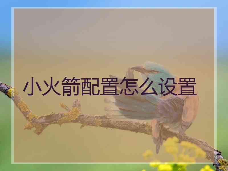 小火箭配置怎么设置 小火箭配置怎么设置