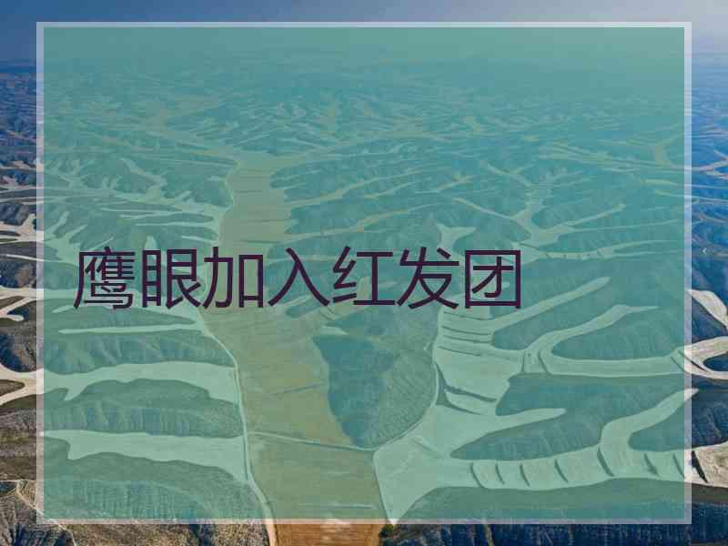 鹰眼加入红发团 鹰眼加入红发团