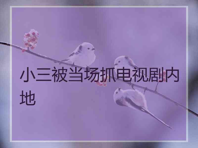 小三被当场抓电视剧内地 小三被当场抓电视剧内地