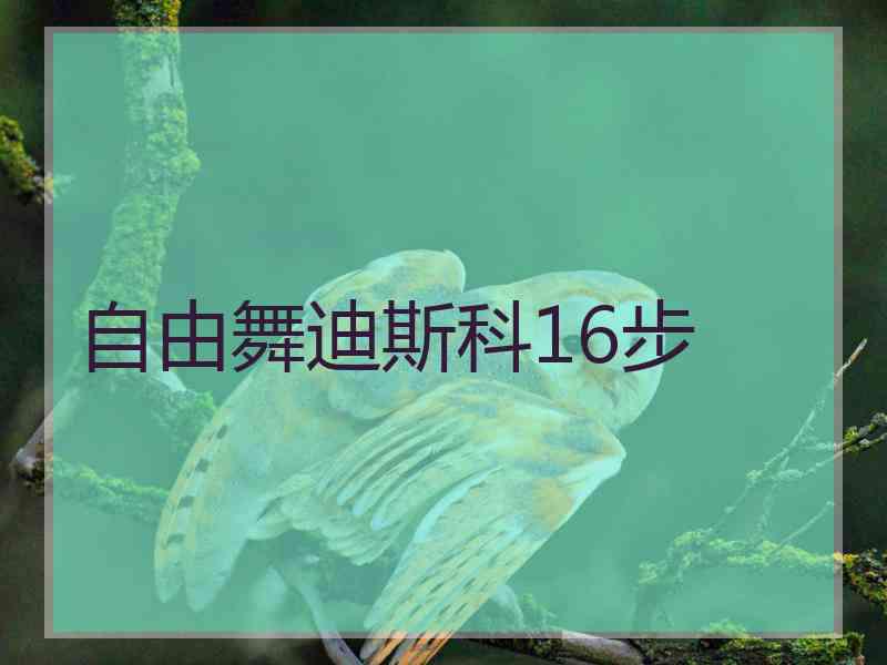 自由舞迪斯科16步 自由舞迪斯科16步