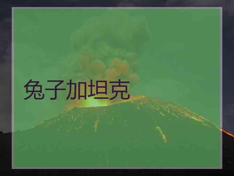 兔子加坦克 兔子加坦克