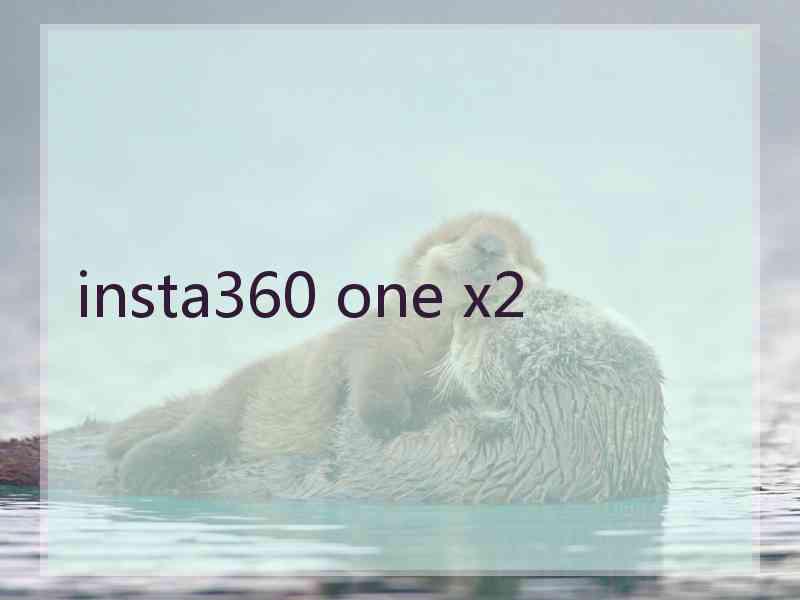 insta360 one x2