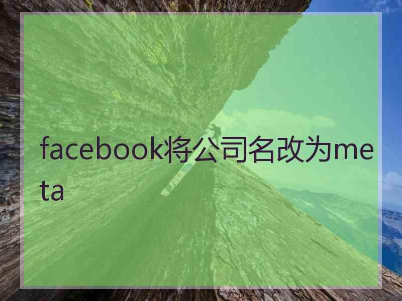 facebook将公司名改为meta