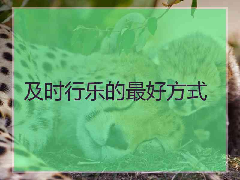 及时行乐的最好方式 及时行乐的最好方式