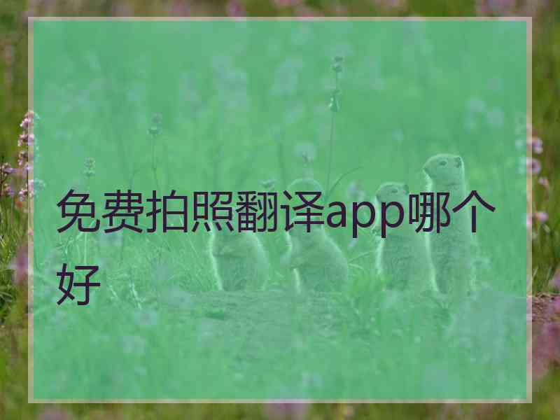 免费拍照翻译app哪个好 免费拍照翻译app哪个好