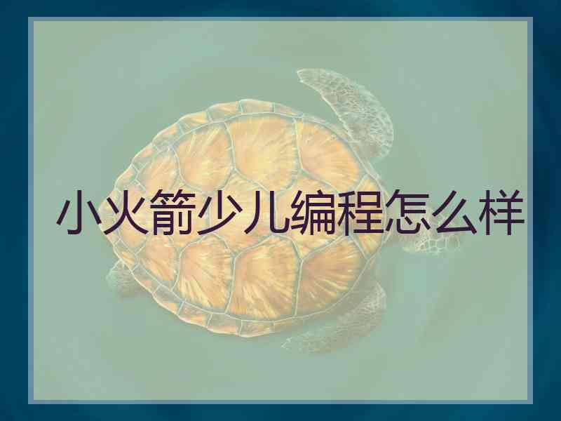 小火箭少儿编程怎么样 小火箭少儿编程怎么样
