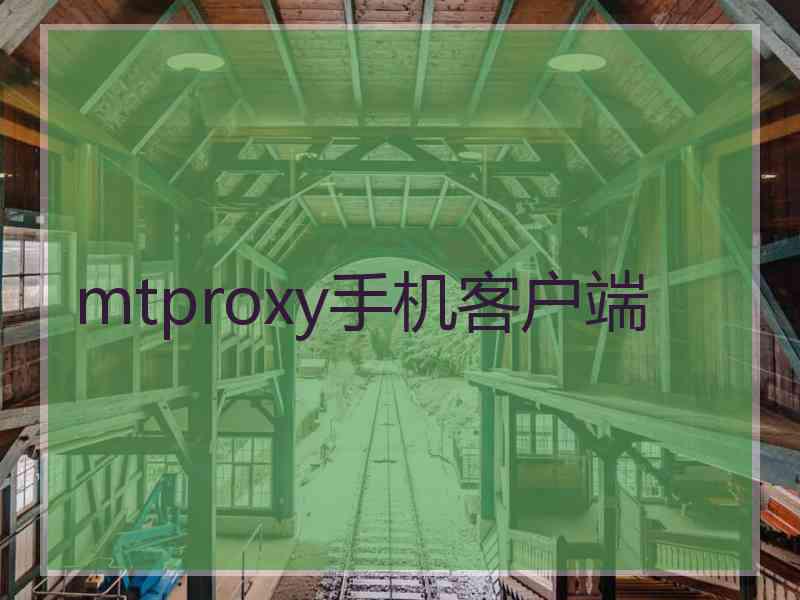 mtproxy手机客户端 mtproxy手机客户端