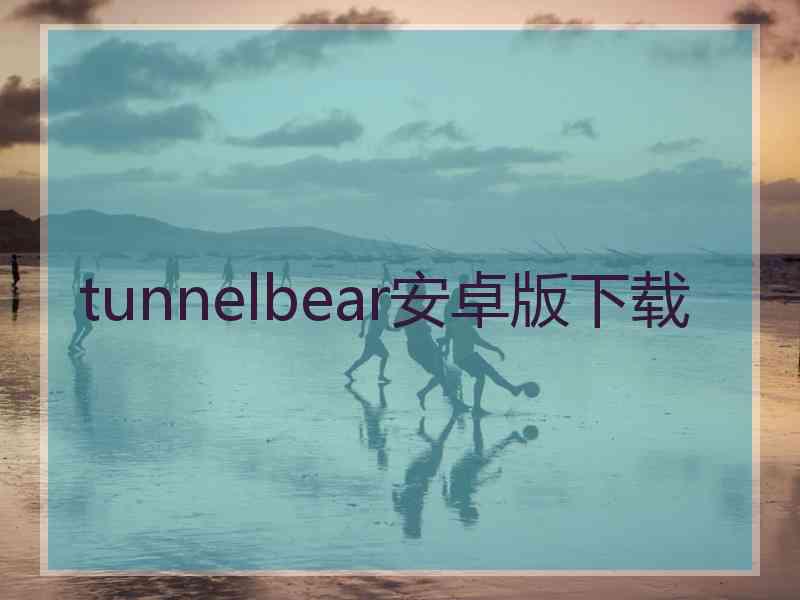 tunnelbear安卓版下载