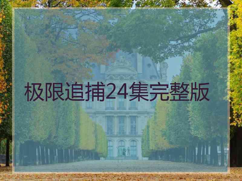 极限追捕24集完整版 极限追捕24集完整版