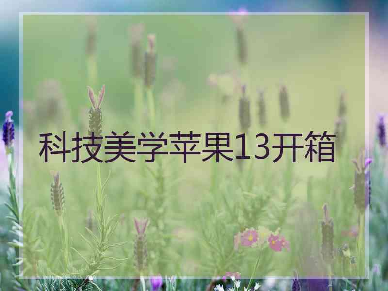 科技美学苹果13开箱 科技美学苹果13开箱
