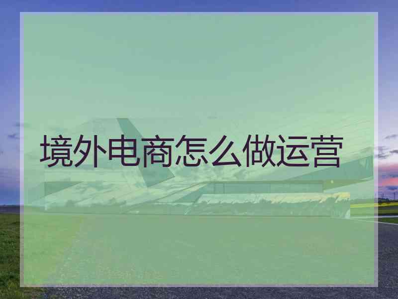 境外电商怎么做运营 境外电商怎么做运营