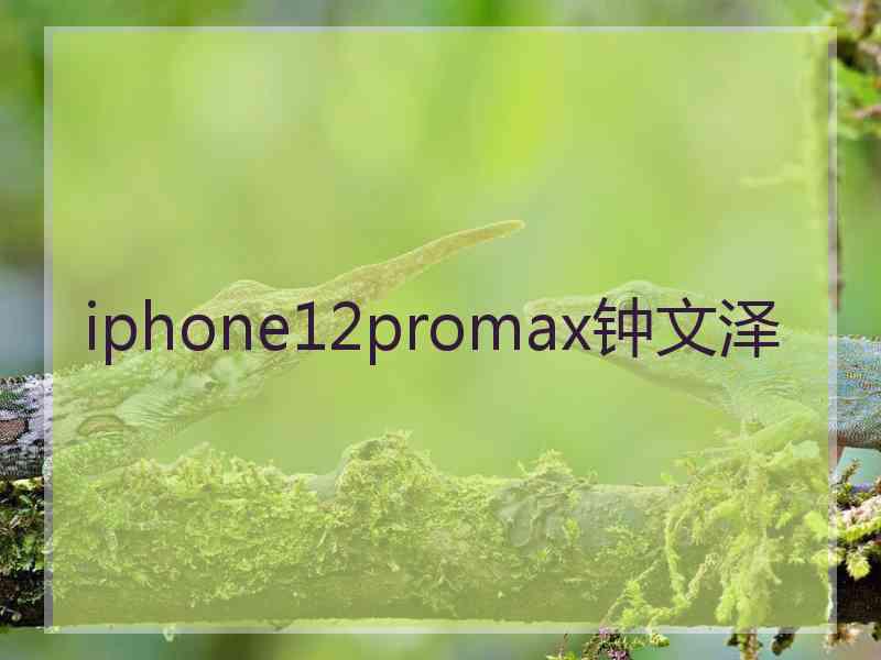 iphone12promax钟文泽 iphone12promax钟文泽