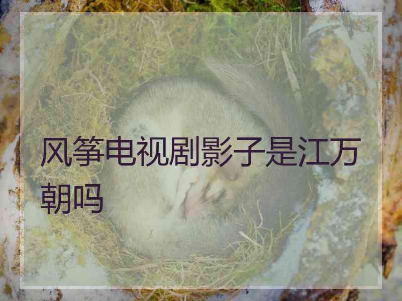 风筝电视剧影子是江万朝吗 风筝电视剧影子是江万朝吗