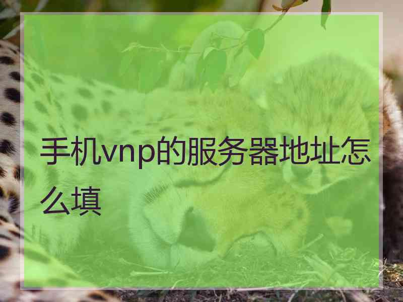 手机vnp的服务器地址怎么填 手机vnp的服务器地址怎么填