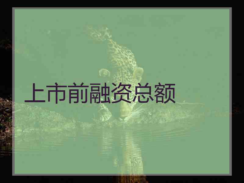 上市前融资总额 上市前融资总额