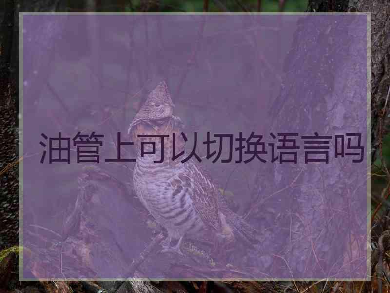 油管上可以切换语言吗 油管上可以切换语言吗