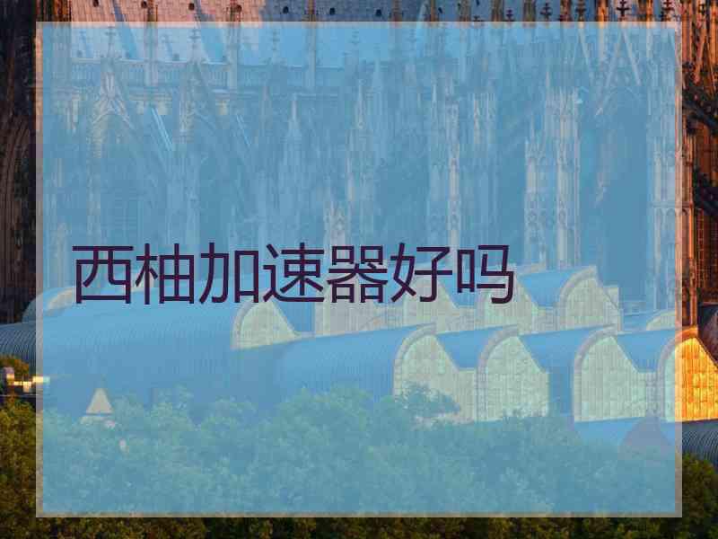 西柚加速器好吗 西柚加速器好吗