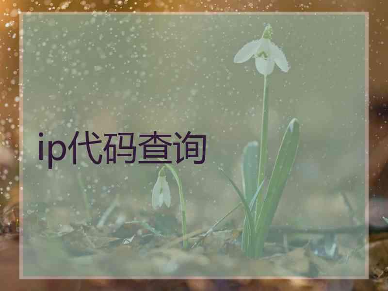 ip代码查询 ip代码查询