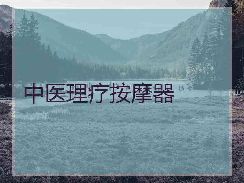 中医理疗按摩器 中医理疗按摩器
