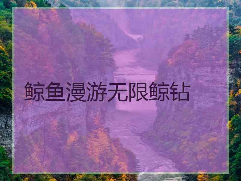 鲸鱼漫游无限鲸钻 鲸鱼漫游无限鲸钻