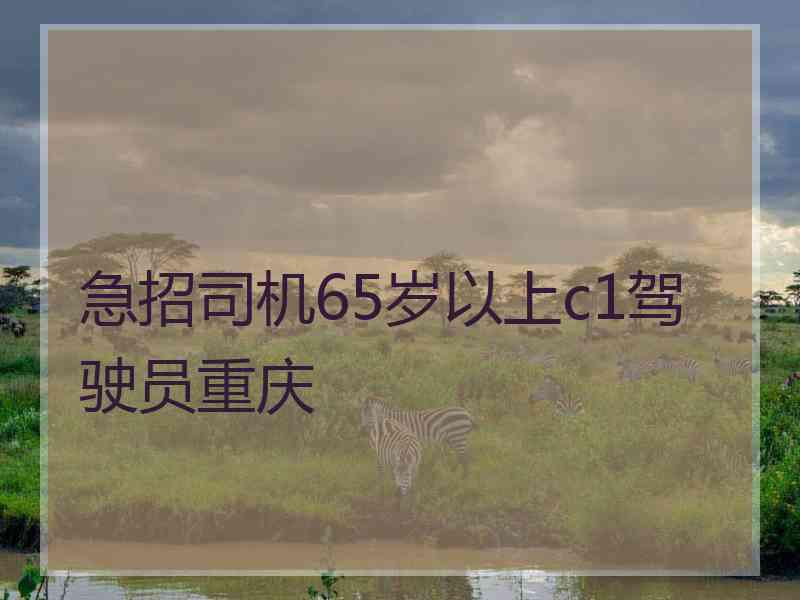 急招司机65岁以上c1驾驶员重庆 急招司机65岁以上c1驾驶员重庆