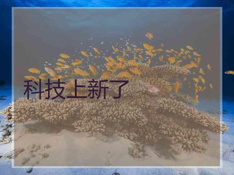 科技上新了 科技上新了