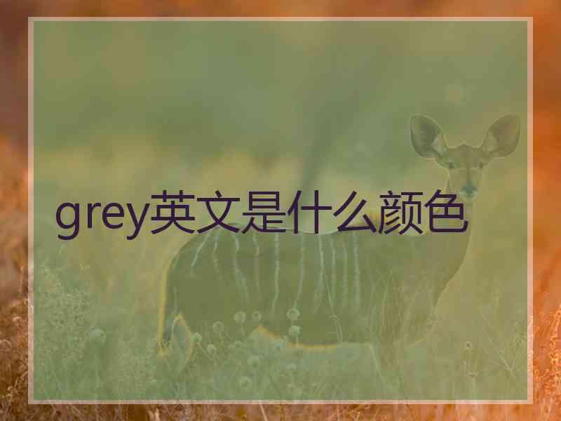 grey英文是什么颜色 grey英文是什么颜色