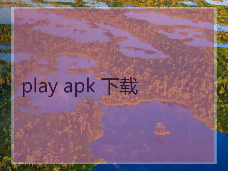 play apk 下载