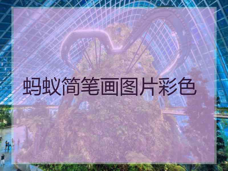 蚂蚁简笔画图片彩色 蚂蚁简笔画图片彩色