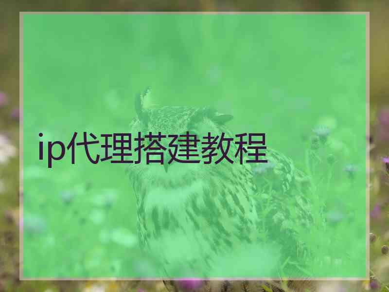 ip代理搭建教程 ip代理搭建教程