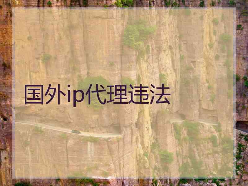 国外ip代理违法 国外ip代理违法