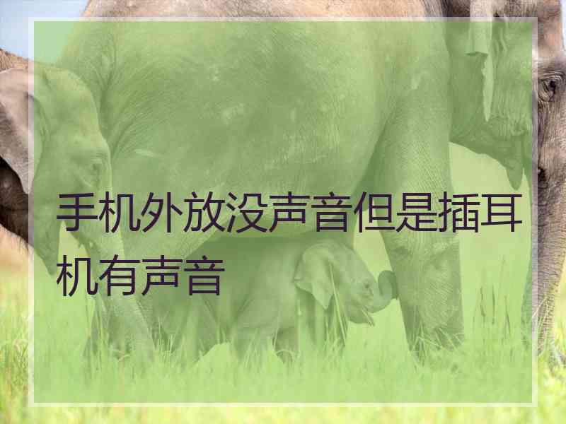 手机外放没声音但是插耳机有声音 手机外放没声音但是插耳机有声音