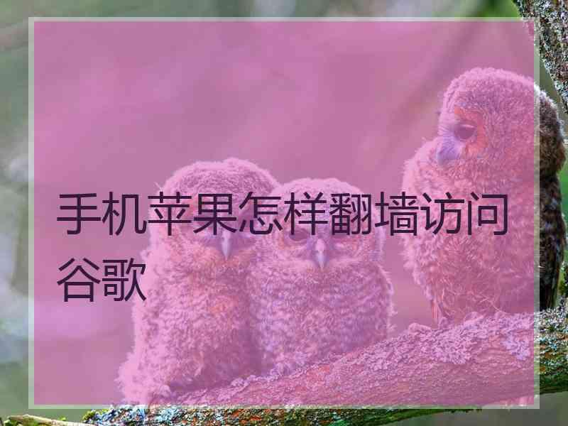 手机苹果怎样翻墙访问谷歌 手机苹果怎样翻墙访问谷歌