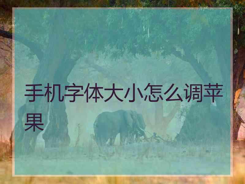 手机字体大小怎么调苹果 手机字体大小怎么调苹果