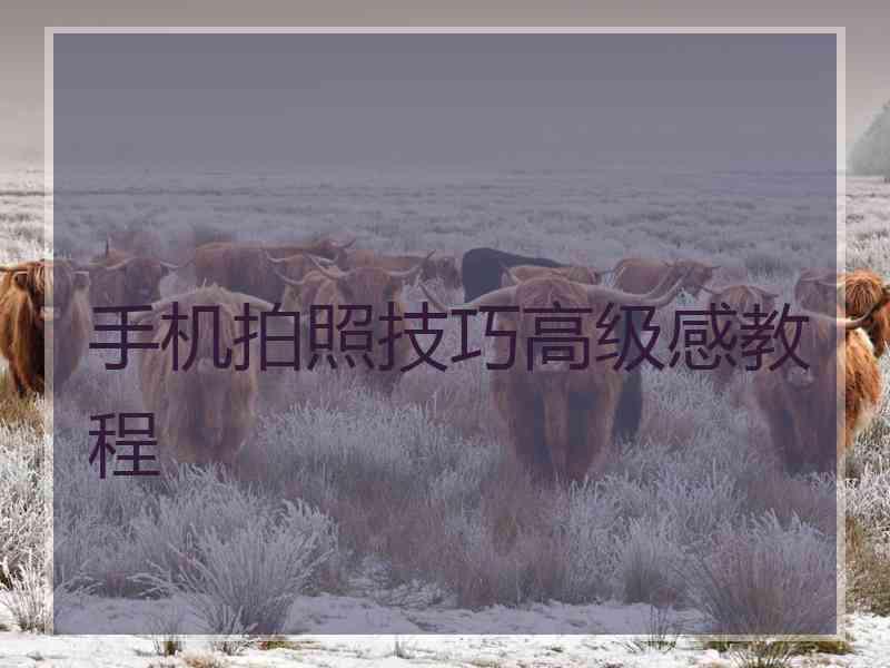 手机拍照技巧高级感教程 手机拍照技巧高级感教程