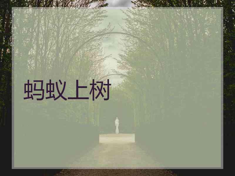 蚂蚁上树 蚂蚁上树